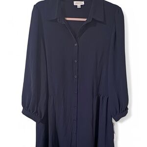 Navy Button-Up Dress